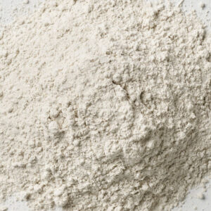 plaster casting course