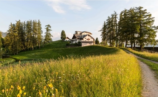 The Zirmerhof above larch meadows in Radein, South Tyrol, location of the Nature Pottery Retreat